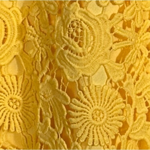 Lulus "Love Poem" mini dress, yellow, spring, summer, lace, no size tag - Picture 5 of 10